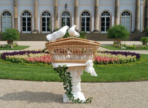 Hochzeitstauben Dresden mit seiner klassischen Variante im Schlosspark Pillnitz