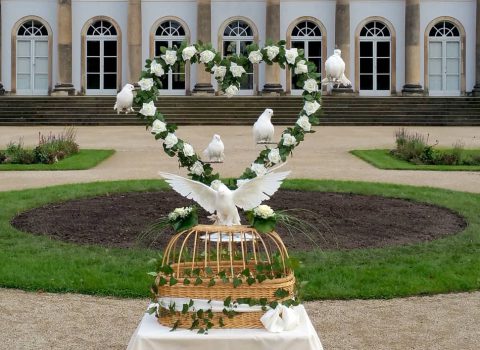 Hochzeitstauben Dresden mit dem großen Rosenherz im Schloss Pillnitz